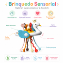 Brinquedo Sensorial para Bebé